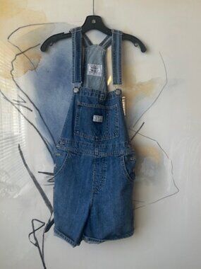 Levis Overall Shorts